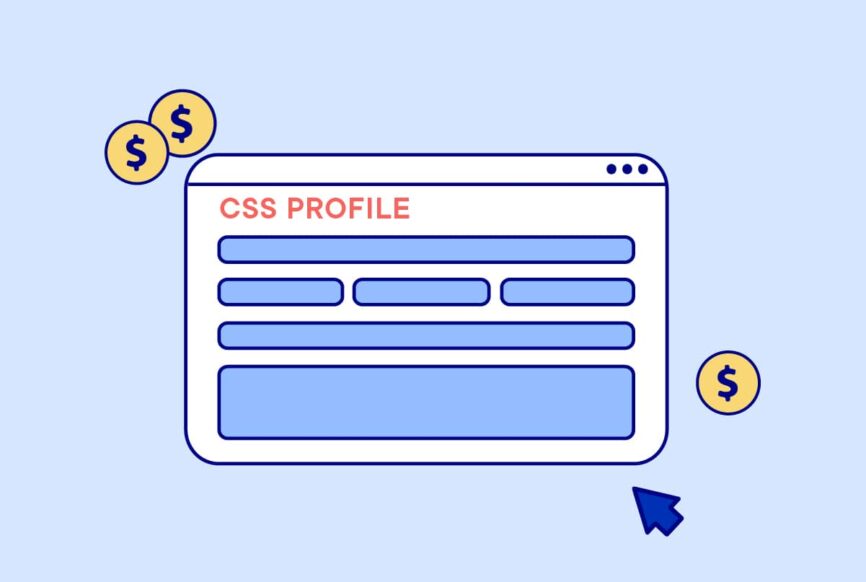 What is the CSS profile?